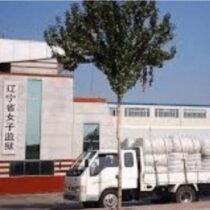 Penjara Wanita Provinsi Liaoning (Minghui)